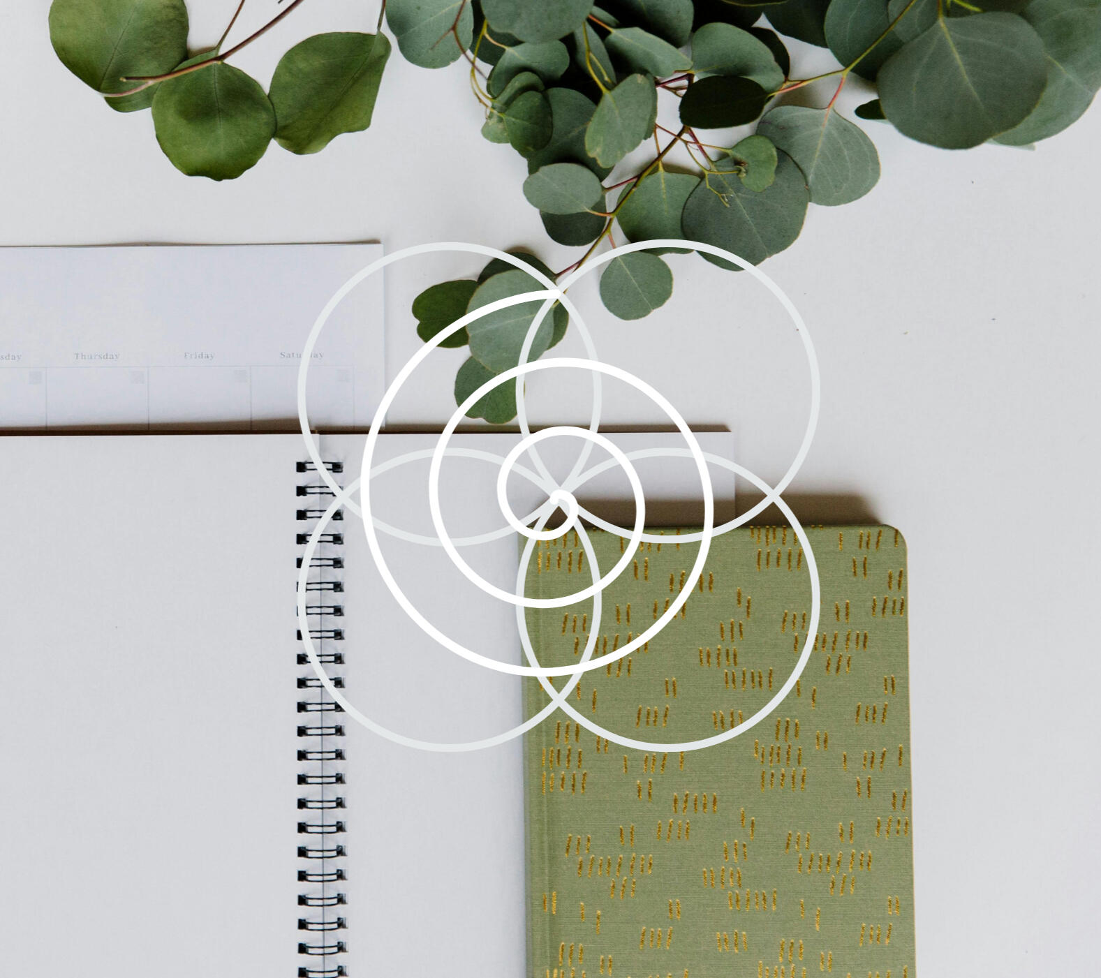 Aligned Project Management logo: a spiral opening over four layered circles